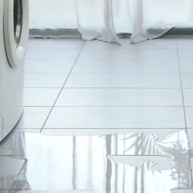Appliance Leak Cleanup in Palmetto, GA